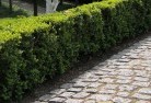 The Patchpaving-17.jpg; ?>